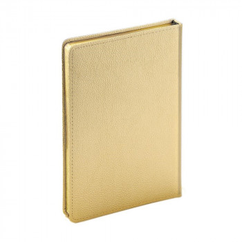 Ежедневник недатированный А5 (145 х 205 мм), золотой, 272 стр. Bruno Visconti "SIDNEY NEBRASKA" Арт. 312811